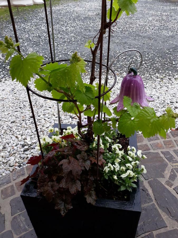 Russhof-Fam.Thomann Hotel Stainz Bagian luar foto